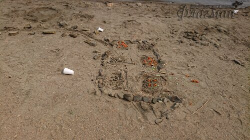 DSC_20220808111902_0257